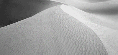 Sanddüne – das Bild von PGfakt